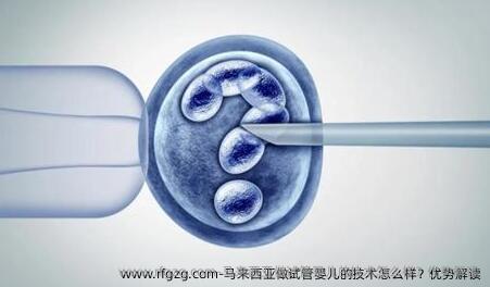 马来西亚做代孕的技术怎么样？优势解读