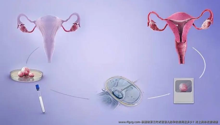 泰国做第三代代孕助孕的费用是多少？附上具体收费明细