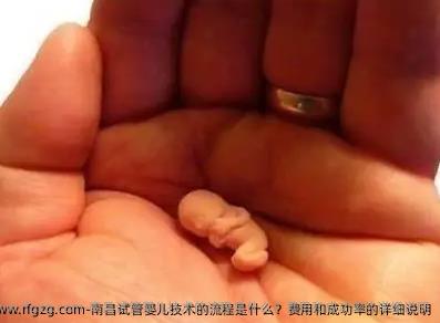 南昌代孕技术的流程是什么？费用和成功率的详细说明