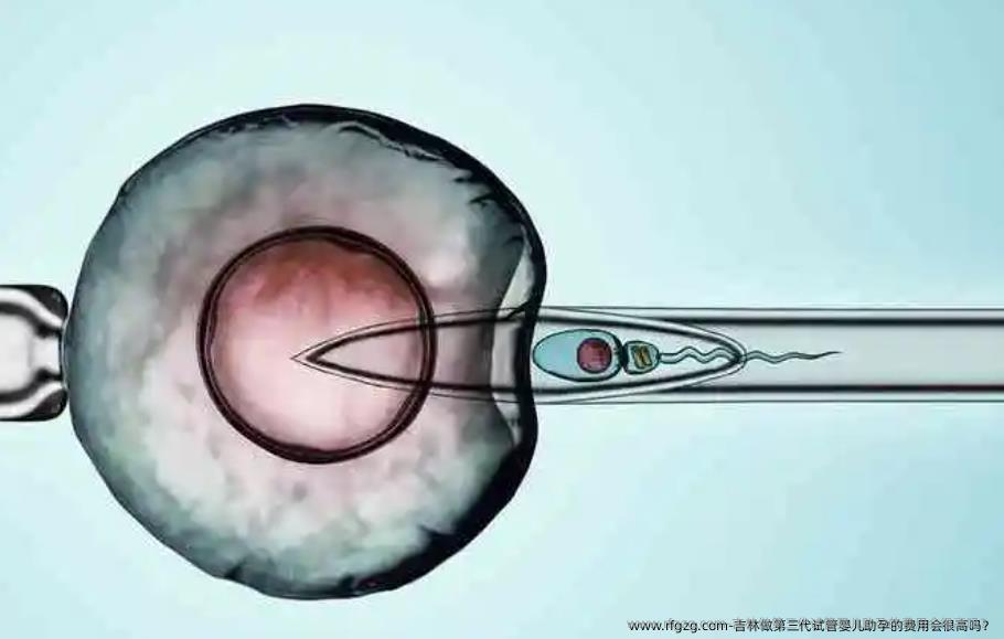 吉林做第三代代孕助孕的费用会很高吗？