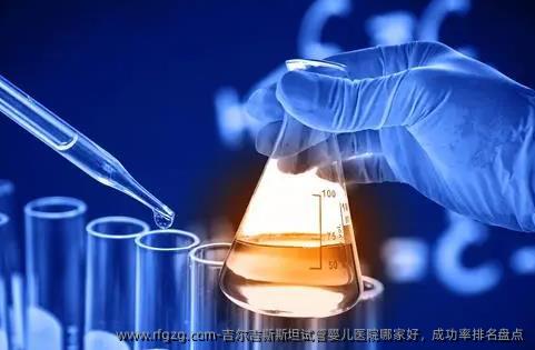 吉尔吉斯斯坦代孕医院哪家好，成功率排名盘点