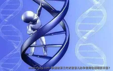 泰国做第三代代孕助孕费用包括哪些项目？