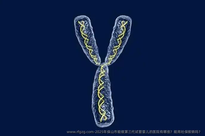 2025年保山市能做第三代代孕的医院有哪些？能用社保报销吗？