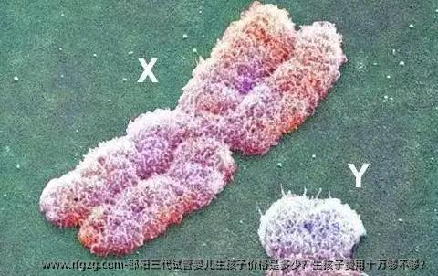 邵阳三代代孕生孩子价格是多少？生孩子费用十万够不够？