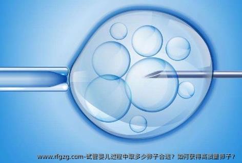 代孕过程中取多少卵子合适？如何获得高质量卵子？