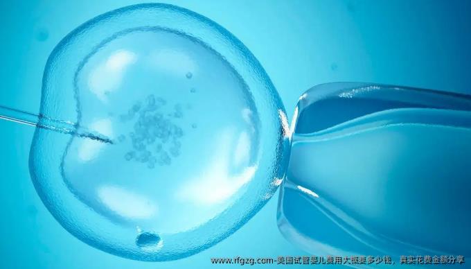 美国代孕费用大概要多少钱，真实花费金额分享