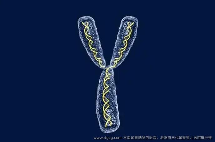 河南试管助孕的医院：洛阳市三代代孕医院排行榜