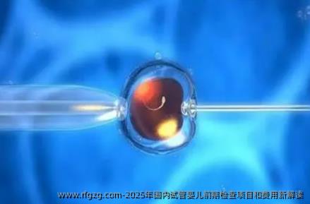 2025年国内代孕前期检查项目和费用新解读