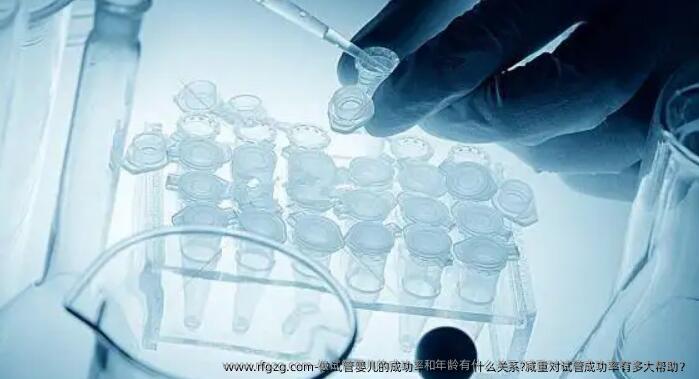 做代孕的成功率和年龄有什么关系?减重对试管成功率有多大帮助？