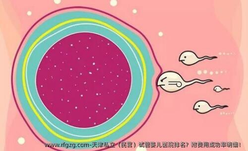 天津私立（民营）代孕医院排名？附费用成功率明细！