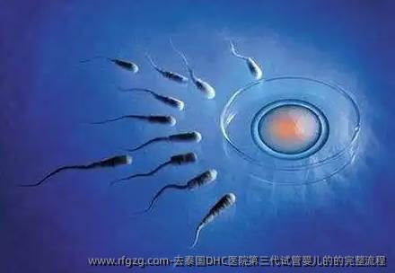 去泰国DHC医院第三代代孕的的完整流程