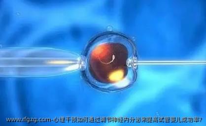 心理干预如何通过调节神经内分泌来提高代孕成功率?