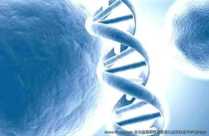 吉尔吉斯斯坦代孕医院排名TOP5新榜单