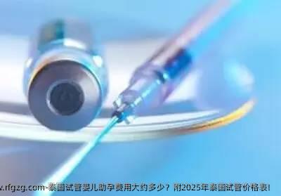 泰国代孕助孕费用大约多少？附2025年泰国试管价格表！