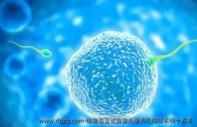 格鲁吉亚代孕服务机构排名榜十名单