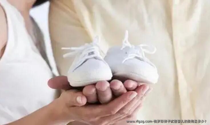 俄罗斯卵子代孕的费用是多少？