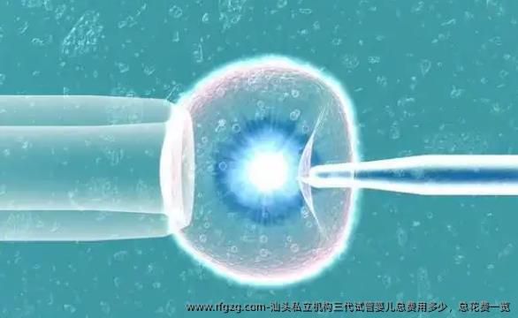 汕头私立机构三代代孕总费用多少，总花费一览