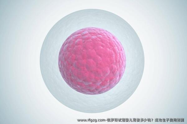 俄罗斯代孕需要多少钱？成功生子费用预算