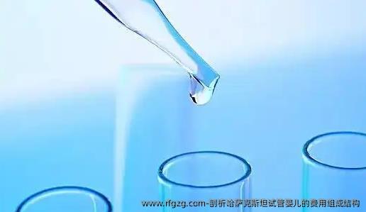 剖析哈萨克斯坦代孕的费用组成结构