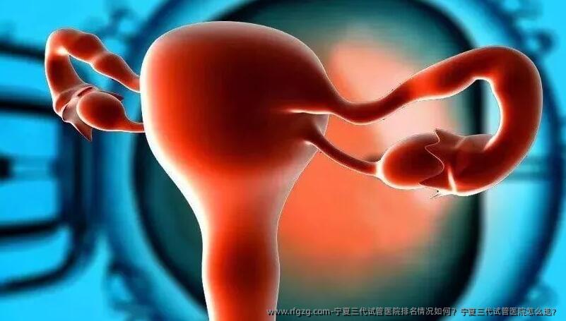 宁夏三代试管医院排名情况如何？宁夏三代试管医院怎么选？