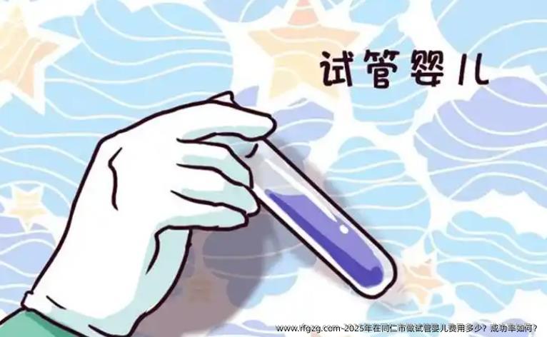 2025年在同仁市做代孕费用多少？成功率如何？