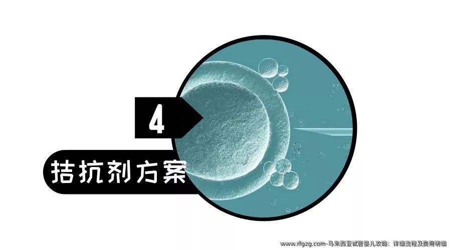 马来西亚代孕攻略：详细流程及费用明细