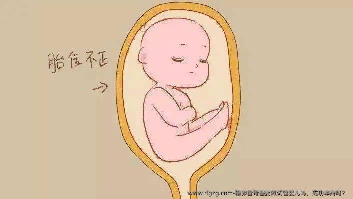 输卵管堵塞要做代孕吗，成功率高吗？ 