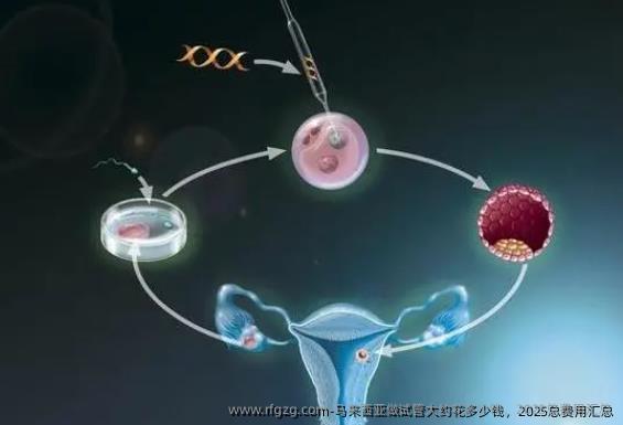 马来西亚做试管大约花多少钱，2025总费用汇总
