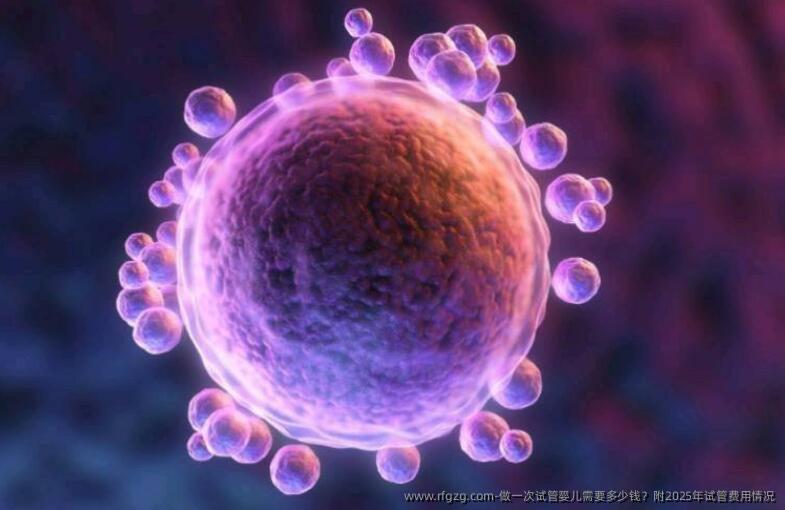 做一次代孕需要多少钱？附2025年试管费用情况