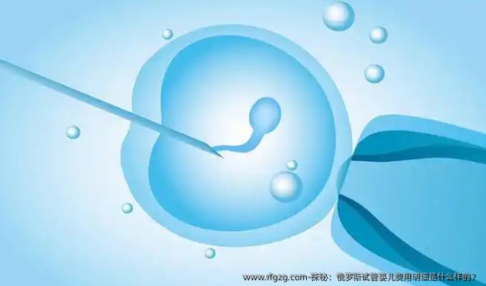 探秘：俄罗斯代孕费用明细是什么样的？