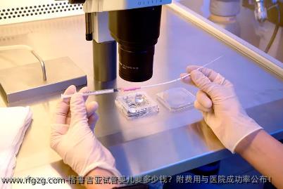 格鲁吉亚代孕要多少钱？附费用与医院成功率公布！