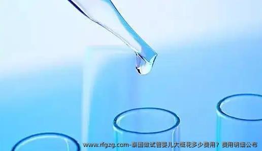 泰国做代孕大概花多少费用？费用明细公布