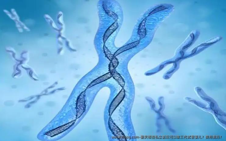 重庆哪些私立医院可以做三代代孕？费用贵吗？