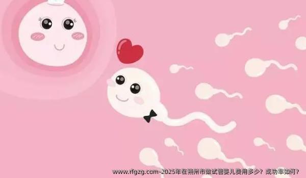 2025年在朔州市做代孕费用多少？成功率如何？