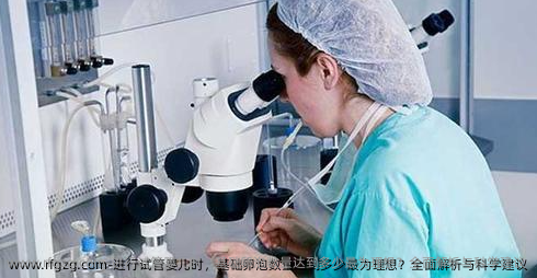 进行代孕时，基础卵泡数量达到多少最为理想？全面解析与科学建议