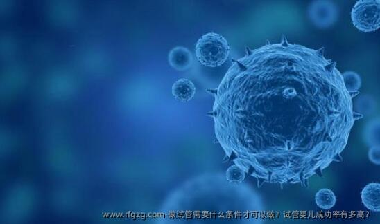 做试管需要什么条件才可以做？代孕成功率有多高？