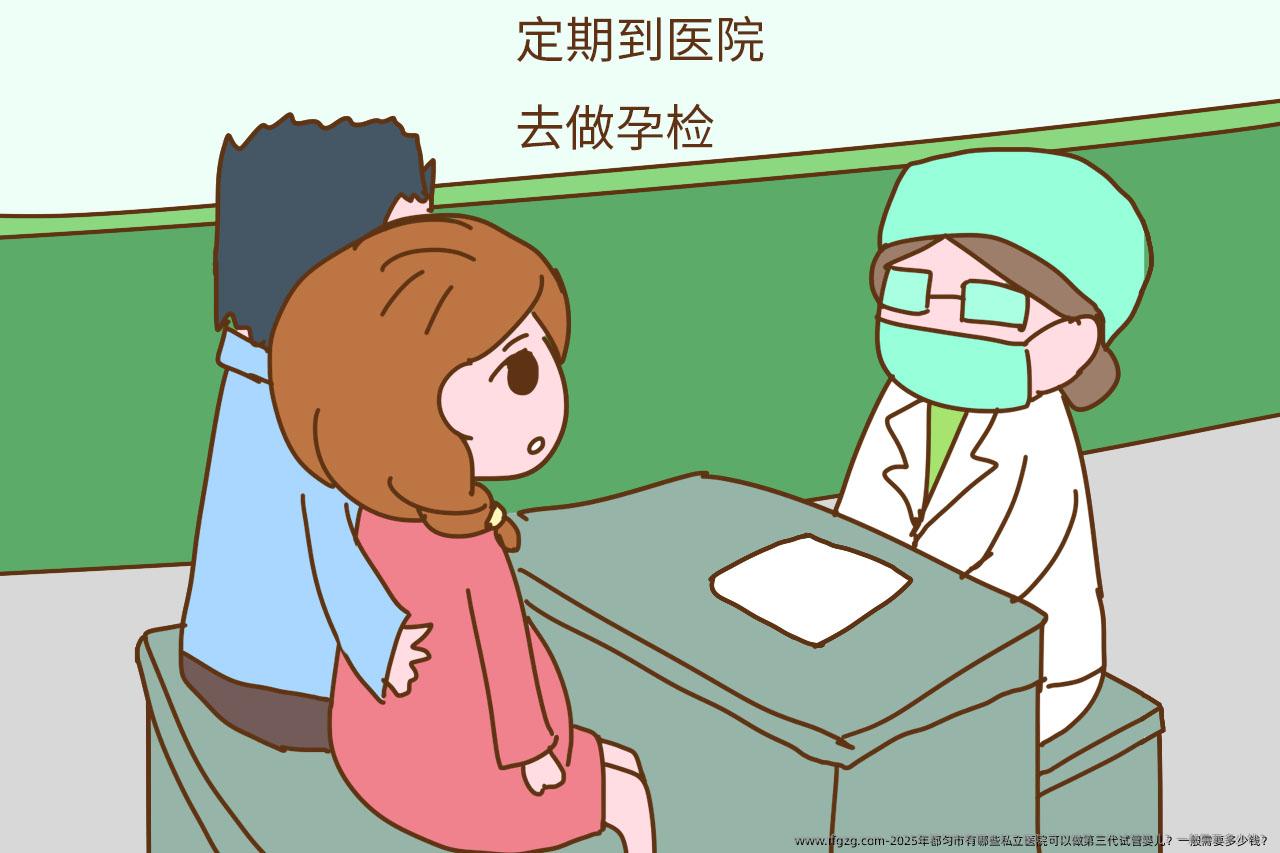 2025年都匀市有哪些私立医院可以做第三代代孕？一般需要多少钱？