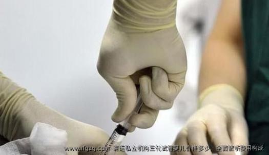 清远私立机构三代代孕价格多少，全面解析费用构成