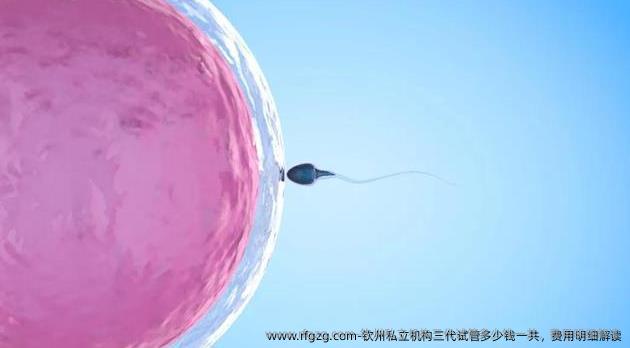钦州私立机构三代试管多少钱一共，费用明细解读
